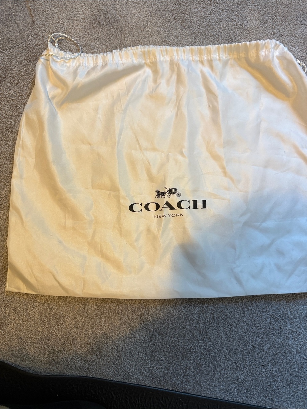 Coach dustbag 20x20